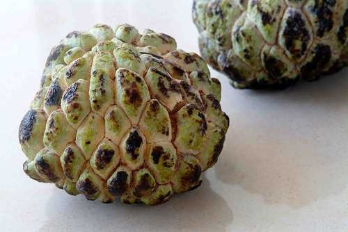 image of custard_apple