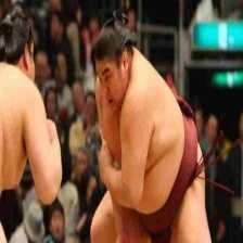 Sumo wrestling image classifcation dataset for machine learning