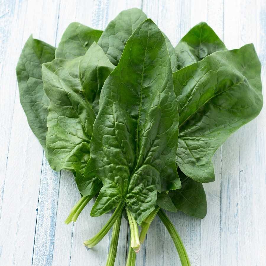 Spinach image classifcation dataset for machine learning