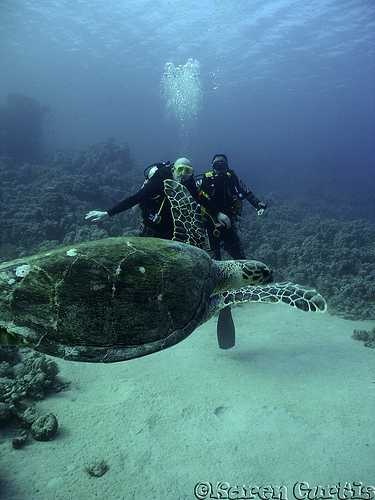 image of scuba_diver