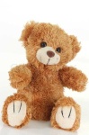 image of teddy_bear