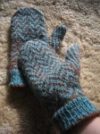 image of mitten