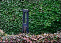 image of guillotine