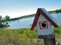 image of birdhouse