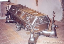 image of animal