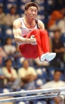 image of parallel_bars