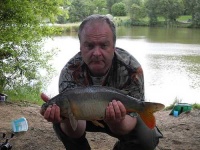 image of tench