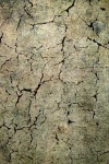 image of texture