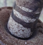 image of texture