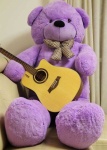 image of teddy_bear