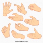image of human_body_parts