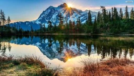 image of sunny