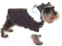 image of standard_schnauzer