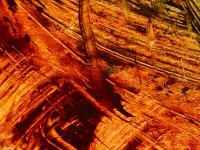 image of texture