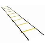 image of ladder