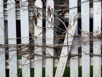image of picket_fence