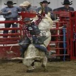 image of bull_riding #8