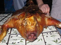 image of hog