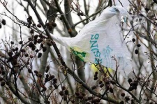 image of plastic_bag