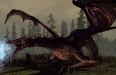 image of dragon