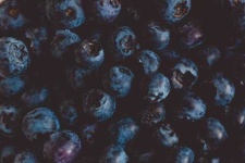 image of blueberry #3