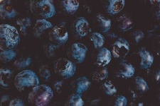 image of blueberry