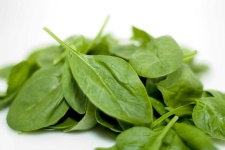 image of spinach #1