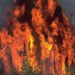 image of wildfire