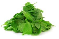 image of spinach #12