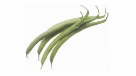 image of string_bean #27