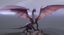 image of dragon