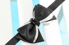 image of bow_tie
