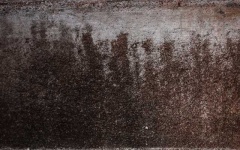 image of texture
