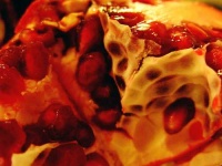 image of pomegranate