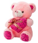 image of teddy_bear