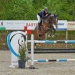 image of horse_jumping #25