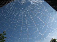 image of texture