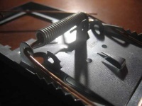image of mousetrap