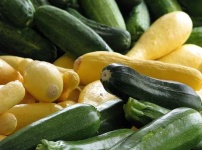 image of cucumber #11