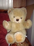 image of teddy
