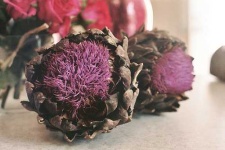 image of artichoke