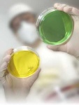 image of petri_dish
