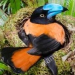 image of bird