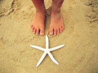 image of starfish