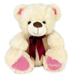 image of teddy_bear