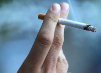 image of cigar