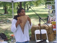 image of panpipe