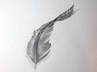 image of feather