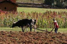 image of plow