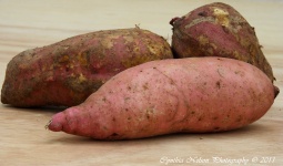 image of sweetpotato #29